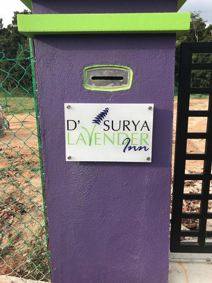 D' Surya Lavender Inn Pantai Cenang  Dış mekan fotoğraf